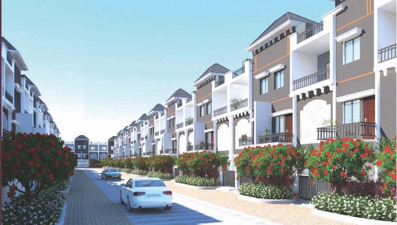 Goyal Flower City